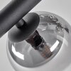 Chehalis Plafondlamp - Glas 10 cm, 12 cm, 15 cm Duidelijk, Rookkleurig, 10-lichts