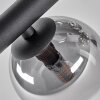 Chehalis Plafondlamp - Glas 10 cm, 12 cm, 15 cm Amber, Duidelijk, Rookkleurig, 10-lichts