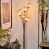 Bernado Staande lamp - Glas 12 cm Amber, 6-lichts
