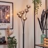 Bernado Staande lamp - Glas 12 cm Duidelijk, Rookkleurig, 6-lichts
