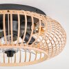 Oravi Plafondlamp 50 cm Zwart, 4-lichts, Afstandsbediening