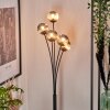 Bernado Staande lamp - Glas 10 cm Rookkleurig, 5-lichts