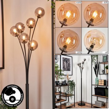 Bernado Staande lamp - Glas 12 cm Amber, 6-lichts