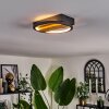 Cornol Plafondlamp LED Natuurlijke kleuren, Zwart, 1-licht