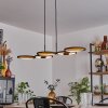 Cornol Hanglamp LED Natuurlijke kleuren, Zwart, 1-licht