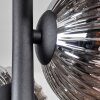 Chehalis Plafondlamp - Glas 10 cm, 12 cm, 15 cm Rookkleurig, 8-lichts