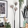 Bernado Staande lamp - Glas 15 cm Rookkleurig, 3-lichts