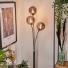 Bernado Staande lamp - Glas 15 cm Rookkleurig, 3-lichts