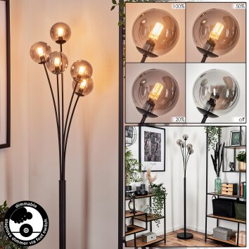 Bernado Staande lamp - Glas 10 cm Rookkleurig, 5-lichts
