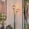 Bernado Staande lamp - Glas 10 cm Rookkleurig, 3-lichts