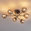 Chehalis Plafondlamp - Glas 10 cm Rookkleurig, 6-lichts