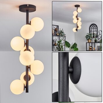 Chehalis Plafondlamp - Glas 10 cm Wit, 8-lichts