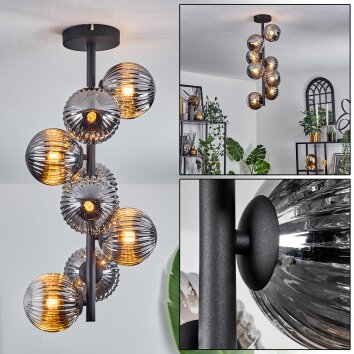 Chehalis Plafondlamp - Glas 12 cm Rookkleurig, 8-lichts