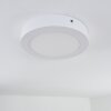 Leto Buitenshuis plafond verlichting LED Wit, 1-licht