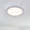 Leto Buitenshuis plafond verlichting LED Wit, 1-licht