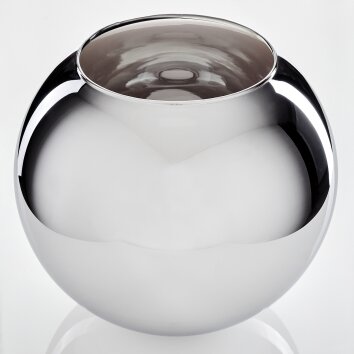 Koyoto Vervangend glas 30 cm Chroom, Rookkleurig