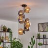 Gastor Plafondlamp - Glas 15 cm Amber, Rookkleurig, 8-lichts
