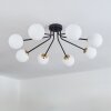 Chehalis Plafondlamp - Glas 12 cm Goud, Zwart, 8-lichts