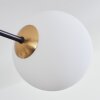Chehalis Plafondlamp - Glas 15 cm Goud, Zwart, 8-lichts