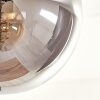 Gastor Plafondlamp - Glas 15 cm Rookkleurig, 5-lichts