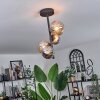 Chehalis Plafondlamp - Glas 10 cm,12 cm Amber, Rookkleurig, 4-lichts
