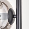 Gastor Staande lamp - Glas 15 cm Duidelijk, Rookkleurig, 4-lichts