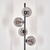 Gastor Staande lamp - Glas 15 cm Rookkleurig, 4-lichts