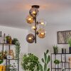 Gastor Plafondlamp - Glas 15 cm Amber, Duidelijk, Rookkleurig, 6-lichts
