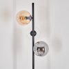 Gastor Staande lamp - Glas 15 cm Amber, Duidelijk, Rookkleurig, 3-lichts