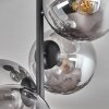 Gastor Plafondlamp - Glas 15 cm Duidelijk, Rookkleurig, 4-lichts