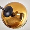 Koyoto Plafondlamp - Glas 15 cm Goud, Duidelijk, 6-lichts