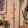 Remaisnil Staande lamp - Glas 10 cm Rookkleurig, 6-lichts