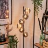 Remaisnil Staande lamp - Glas 15 cm Rookkleurig, 6-lichts