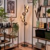 Remaisnil Staande lamp - Glas 15 cm Rookkleurig, 6-lichts