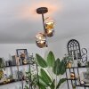 Chehalis Plafondlamp - Glas 12 cm Amber, Rookkleurig, 4-lichts