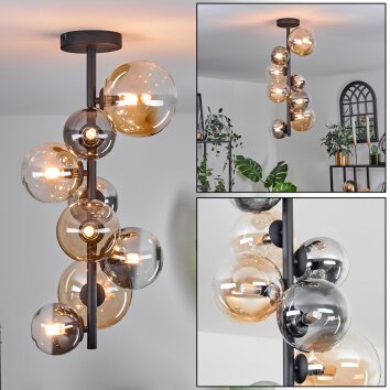 Chehalis Plafondlamp - Glas 10 cm, 12 cm, 15 cm Amber, Duidelijk, Rookkleurig, 8-lichts
