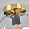 Apedo Plafondlamp - Glas 20 cm Goud, Zwart, 1-licht