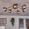 Gastor Plafondlamp - Glas 15 cm Duidelijk, Rookkleurig, 6-lichts