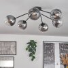 Gastor Plafondlamp - Glas 15 cm Duidelijk, Rookkleurig, 6-lichts