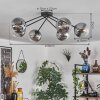 Gastor Plafondlamp - Glas 15 cm Duidelijk, Rookkleurig, 6-lichts