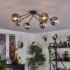 Gastor Plafondlamp - Glas 15 cm Duidelijk, Rookkleurig, 6-lichts