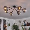 Gastor Plafondlamp - Glas 15 cm Duidelijk, Rookkleurig, 6-lichts