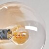 Gastor Plafondlamp - Glas 15 cm Amber, Duidelijk, Rookkleurig, 6-lichts
