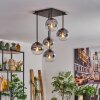 Gastor Plafondlamp - Glas 15 cm Duidelijk, Rookkleurig, 5-lichts