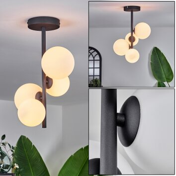 Chehalis Plafondlamp - Glas 10 cm, 12 cm Wit, 4-lichts