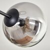 Koyoto Plafondlamp - Glas 15 cm Duidelijk, Rookkleurig, 6-lichts