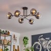 Gastor Plafondlamp - Glas 15 cm Duidelijk, Rookkleurig, 6-lichts