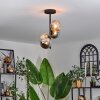 Chehalis Plafondlamp - Glas 12 cm Amber, Rookkleurig, 4-lichts