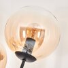 Gastor Staande lamp - Glas 15 cm Amber, Duidelijk, 5-lichts