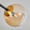Chehalis Plafondlamp - Glas 12 cm, 15 cm Goud, Zwart, 8-lichts